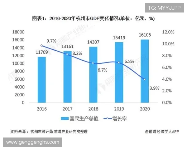 杭州排球队的实力分析与未来发展展望探讨