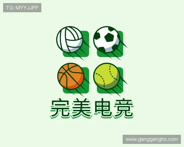 认识完美电竞
